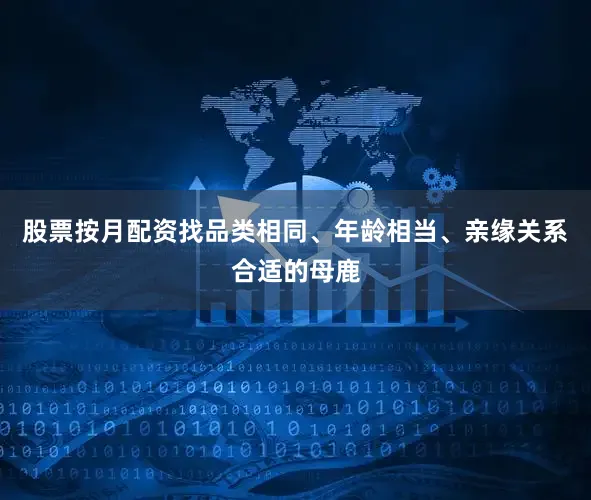 股票按月配资找品类相同、年龄相当、亲缘关系合适的母鹿