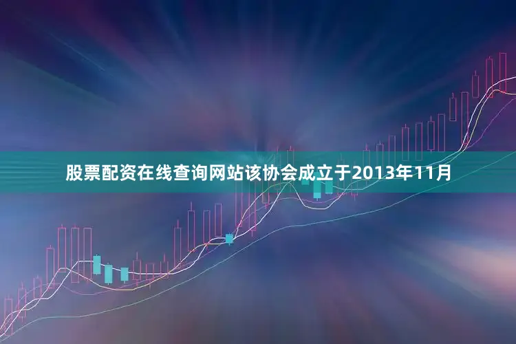 股票配资在线查询网站 该协会成立于2013年11月