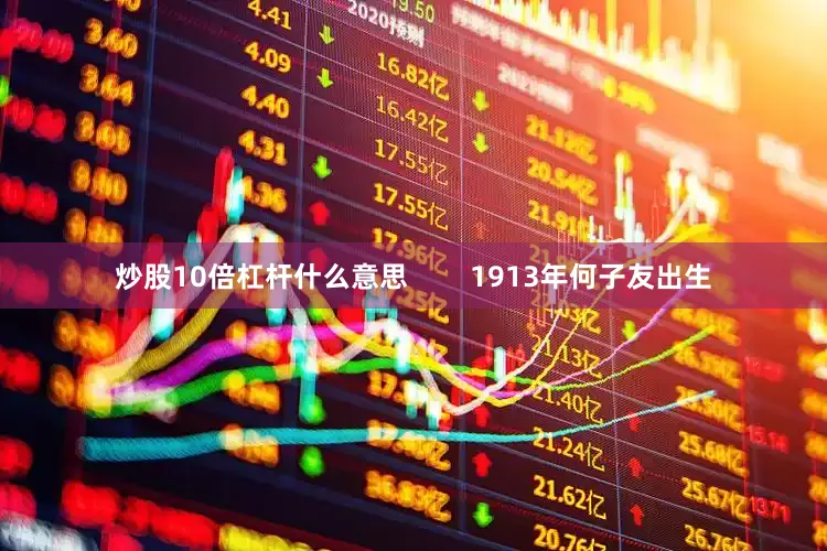 炒股10倍杠杆什么意思        1913年何子友出生