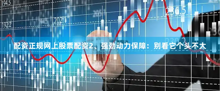 配资正规网上股票配资2、强劲动力保障：别看它个头不大